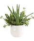 Sundown Succulent Accent Planter