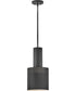 Casey 1-Light Small Pendant in Black