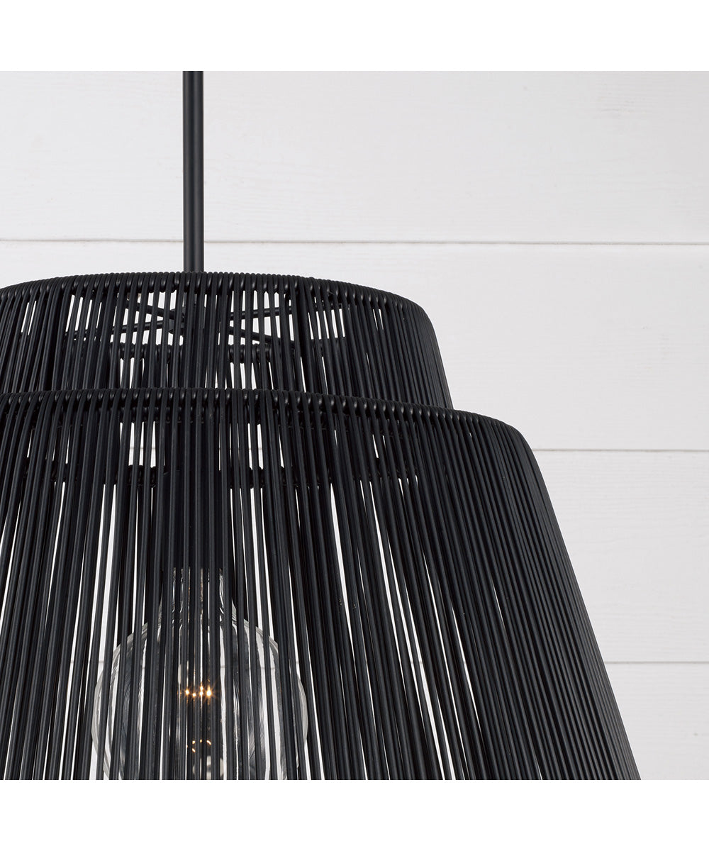 Jasper 1-Light Outdoor Hanging-Lantern Oynx and Black