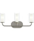 Mack 3-Light Vanity Light with Layered Glass Shades Brushed Nickel