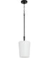 Goodwin Pendant Matte Black