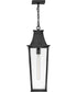 Georgetown Coastal Elements  1-Light Large Hanging Lantern in Black
