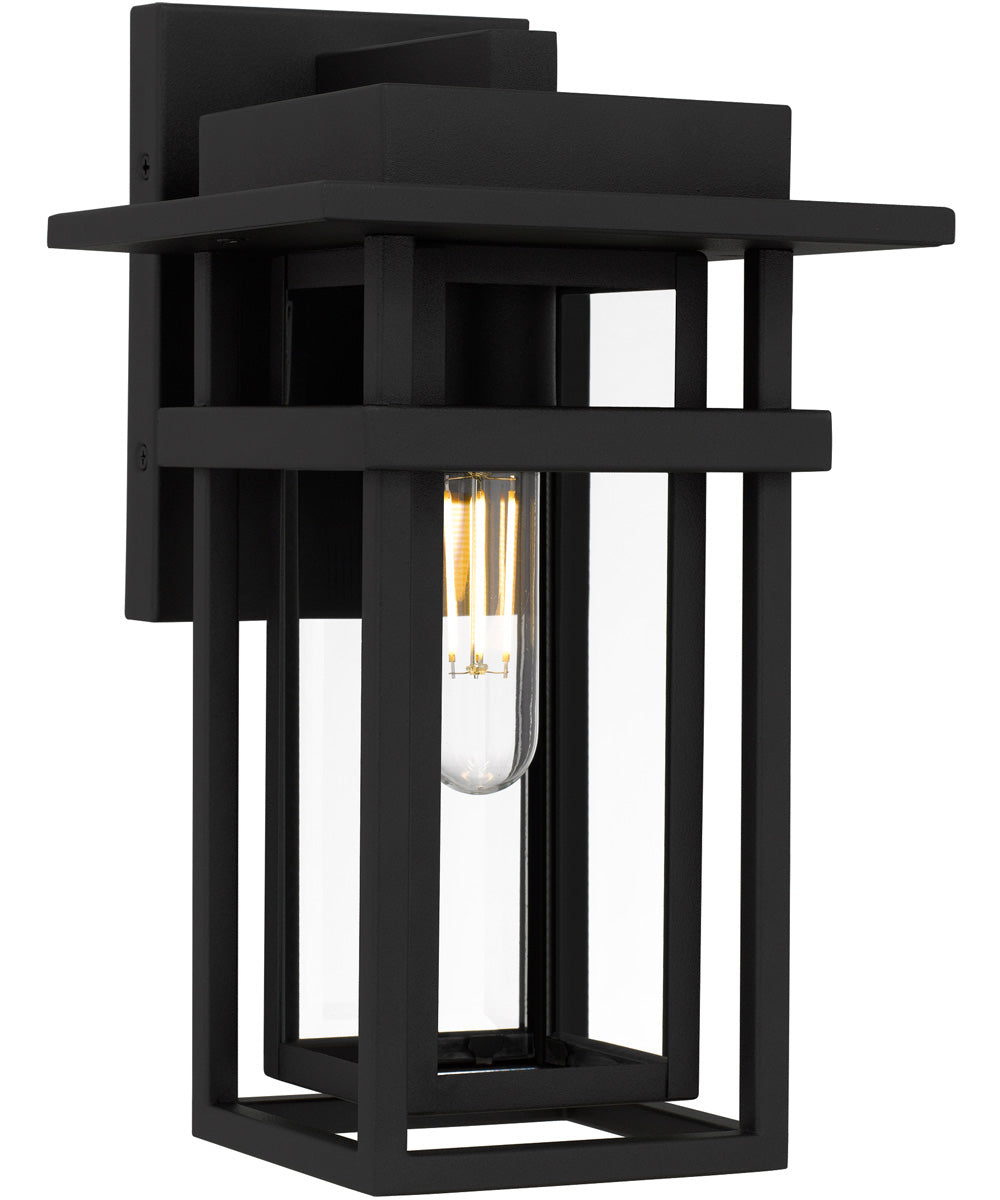 Morgan 1-light Outdoor Wall Light Earth Black