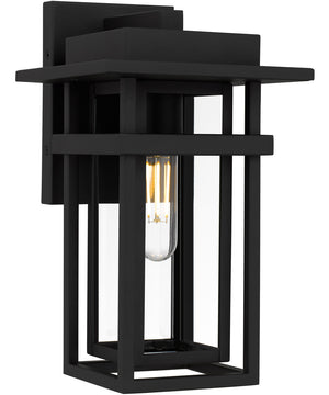 Morgan 1-light Outdoor Wall Light Earth Black