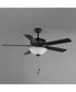 Super-Max 52 inch Ceiling Fan with 2-Light Kit Black