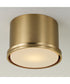 Griffin 1-Light Flush Aged Brass