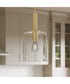 Reines 1-Light Pendant with Clear Glass Shade Brushed Gold