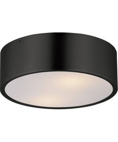 Tommy 12 inch  2-Light Surface Mount Black