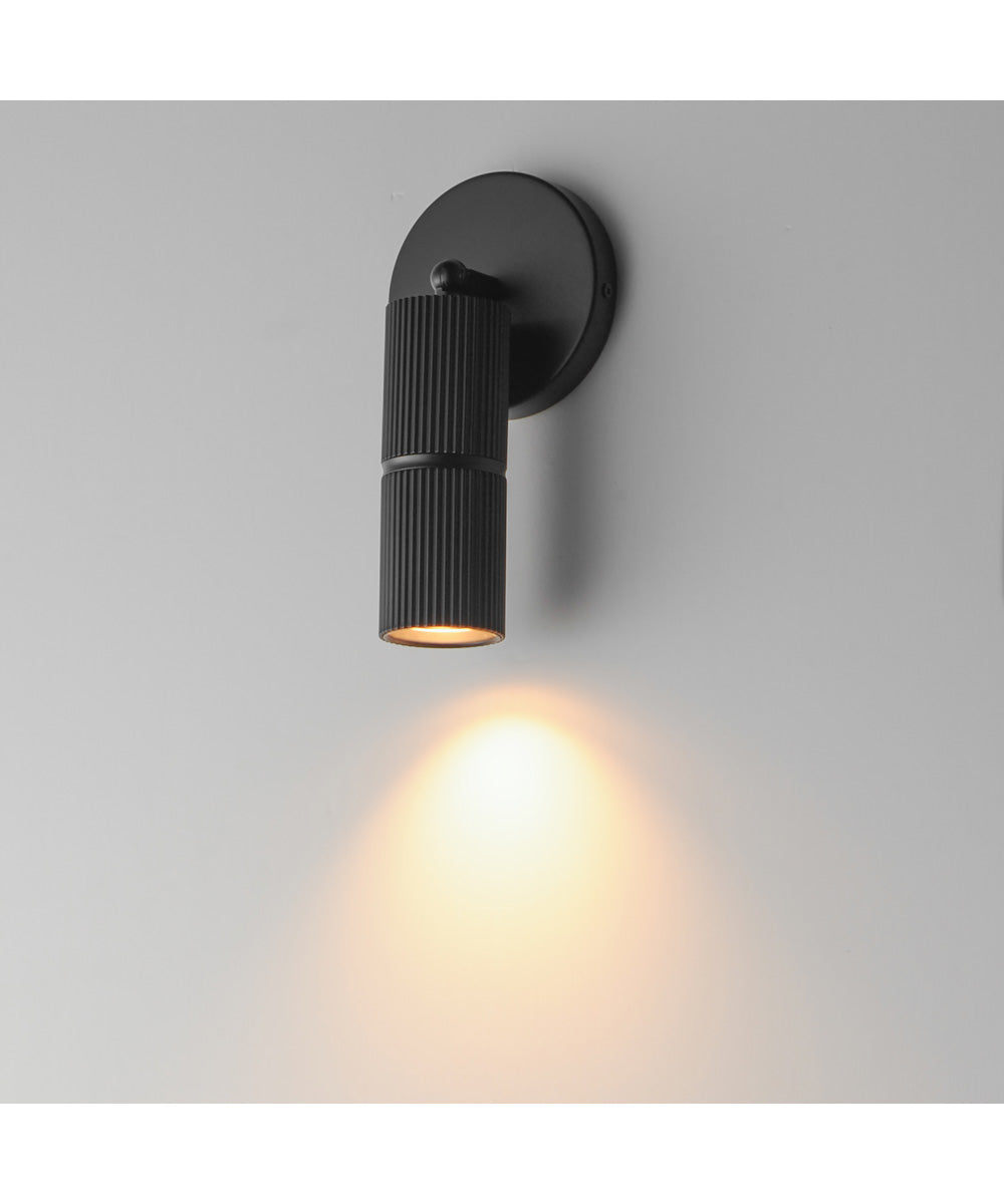 Reeds LED Spot Light Black