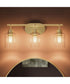 Reines 3-Light Bath Vanity with Clear Glass Shades Brushed Gold