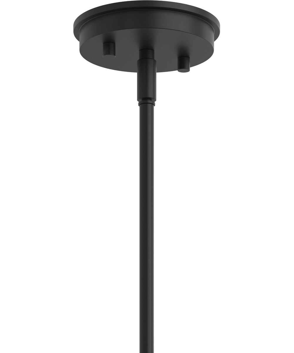 Reines 4-Light Foyer Pendant Matte Black