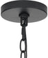 Canebrake 6-Light Chandelier Light Matte Black