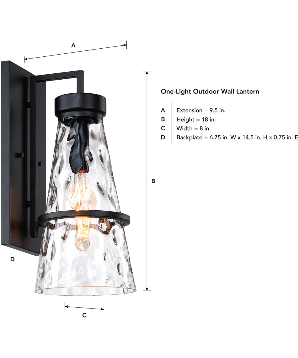 Field Daisy Lane Outdoor Wall Sconce Black