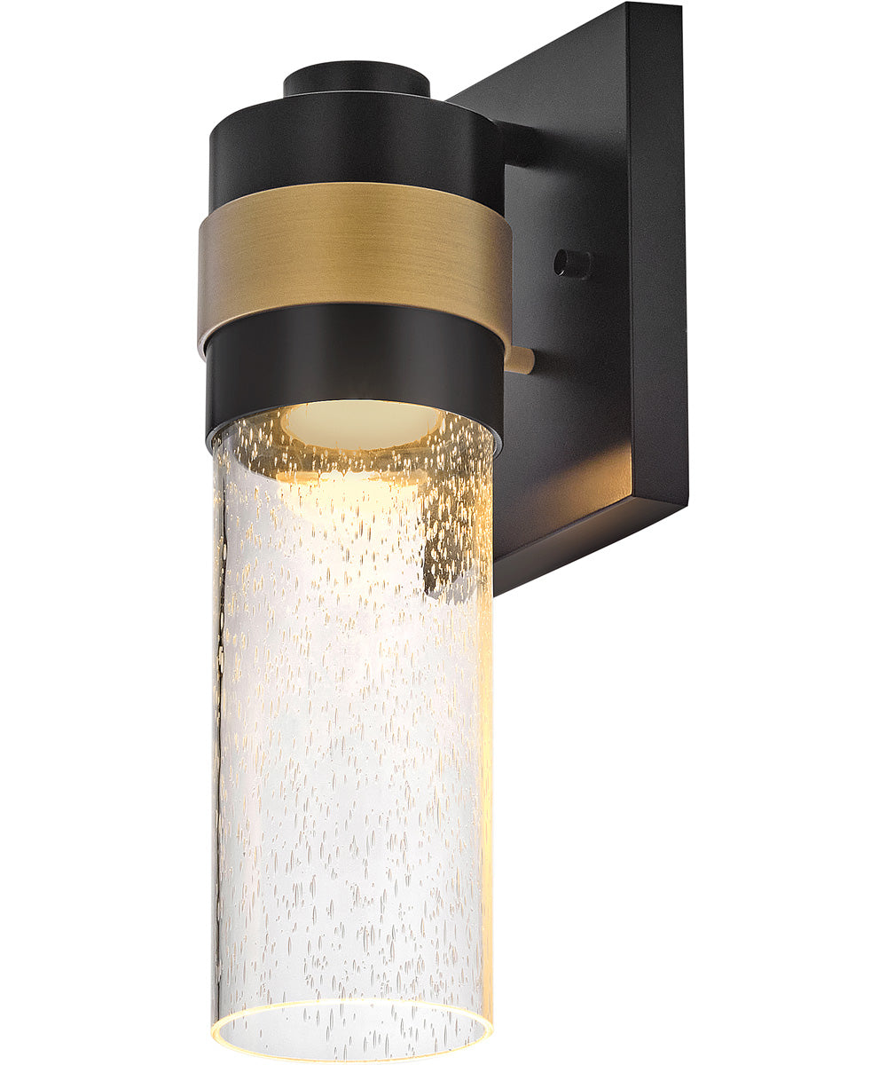 Albie 1-Light Small Wall Mount Lantern in Black