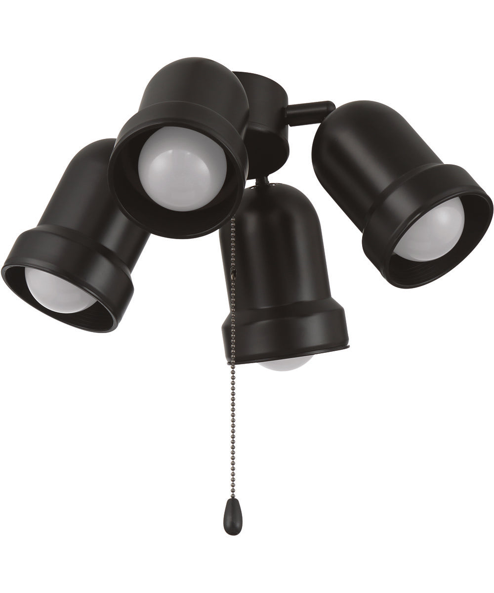 4-Light Accessory Brushed Polished Nickel