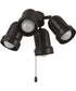 4-Light Accessory Brushed Polished Nickel
