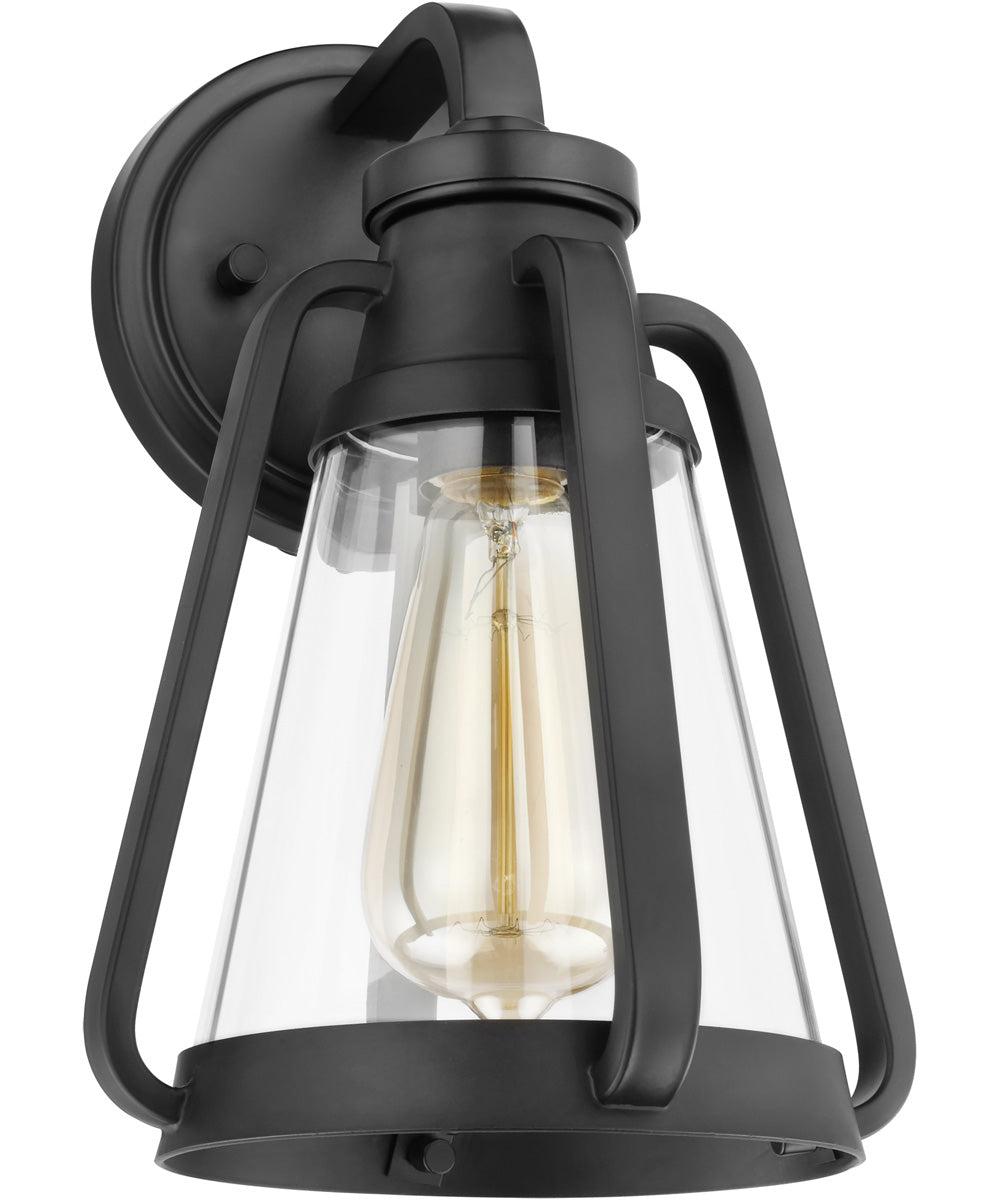 Everett 1-Light Vanity & Wall Matte Black