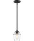 Summer Jazz 1 Light Pendant Matte Black