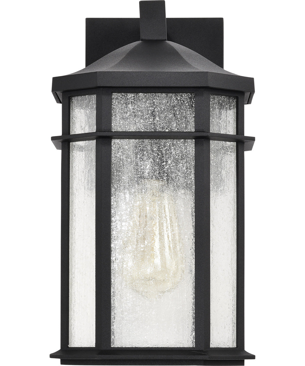 Raiden 1-Light Outdoor Matte Black