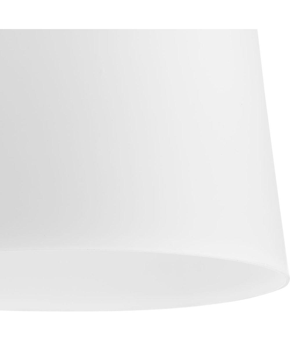 Clarion 1-Light Etched White Pendant P500429 Brushed Nickel