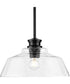 Singleton 1-Light 14" Farmhouse Medium Pendant Light with Clear Glass Shade Matte Black