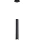 Century  Pendant Matte Black / Brushed Nickel