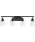Reines 4-Light Bath Vanity with Clear Glass Shades Matte Black