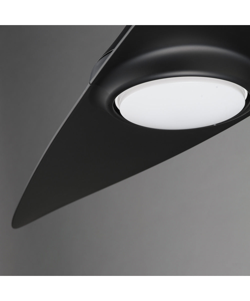 Surf 56 inch 2-Blade Marine Grade Fan w LED Black
