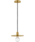 Lulu 1-Light Small Convertible Pendant in Lacquered Brass