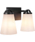 Zane 2-Light Lighting Flat Black