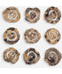 Corkscrew Wood Wall Decor Set/9