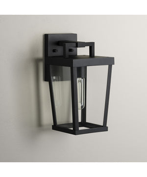Tryon 1-Light Small Outdoor Wall Lantern Black