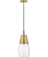 Livie 1-Light Small Single Light Convertible Pendant in Lacquered Brass