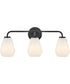 Gio 3-Light Medium Three Light Vanity in Black