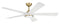 Ceiling Fans and Accessories