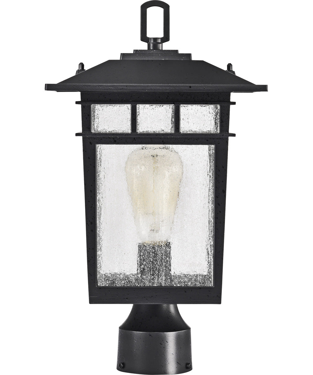 Cove Neck 1-Light Outdoor Textured Black
