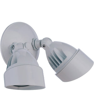 LED Flood 2-Light Outdoor Lighting White