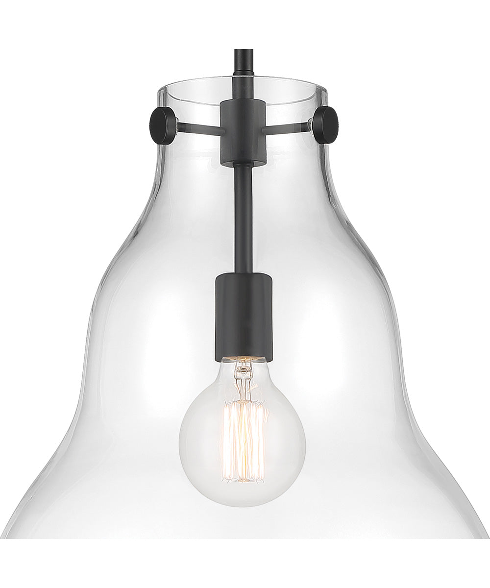 Lakeview 1 Light Pendant Matte Black
