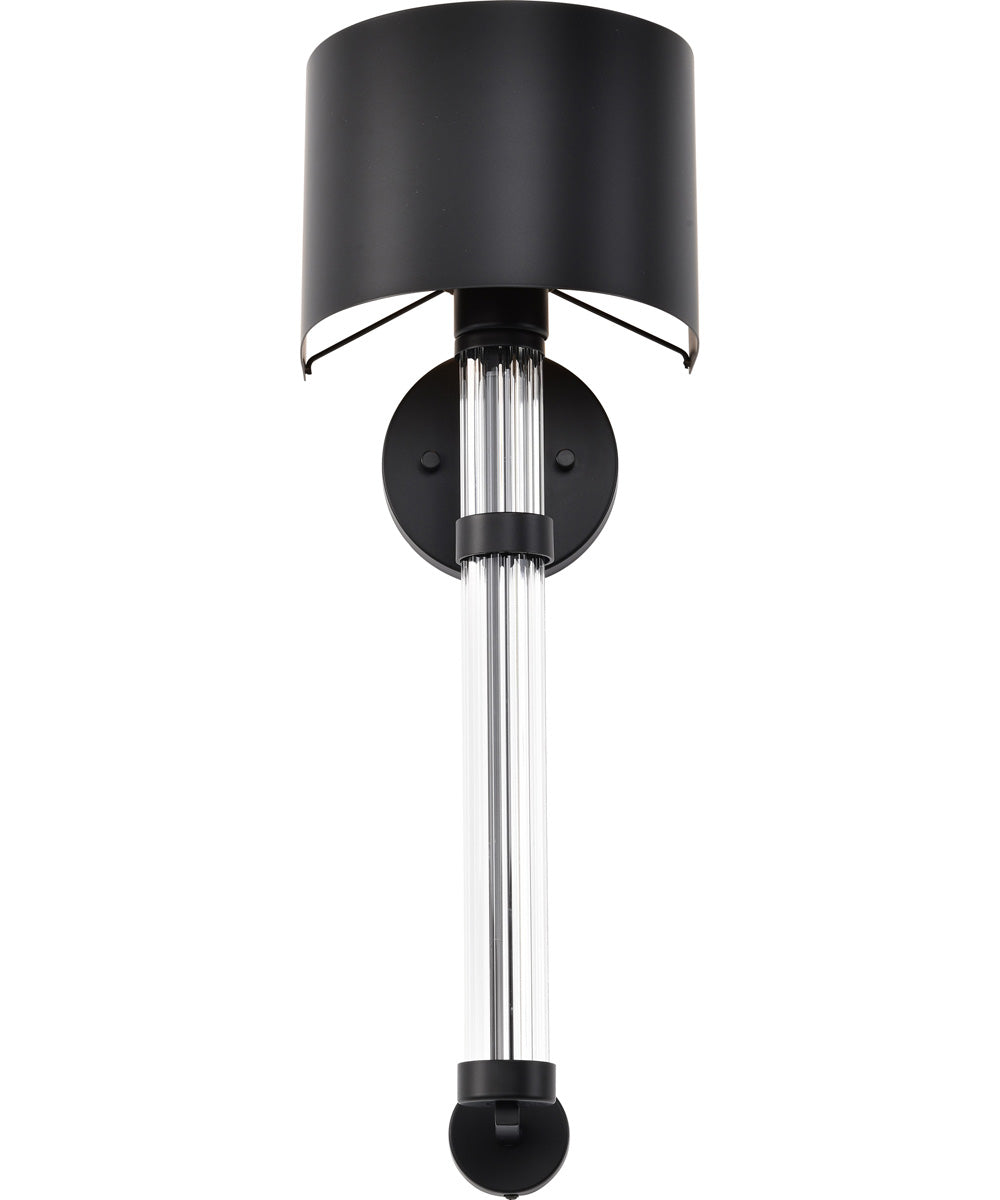 Teagon 1-Light Vanity & Wall Matte Black