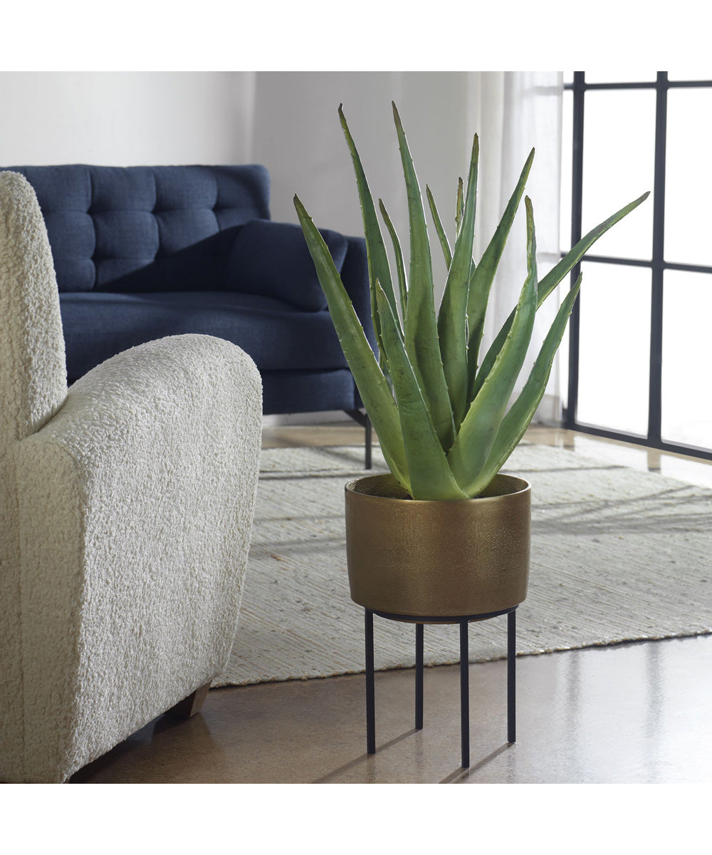 Arabia Aloe Planter