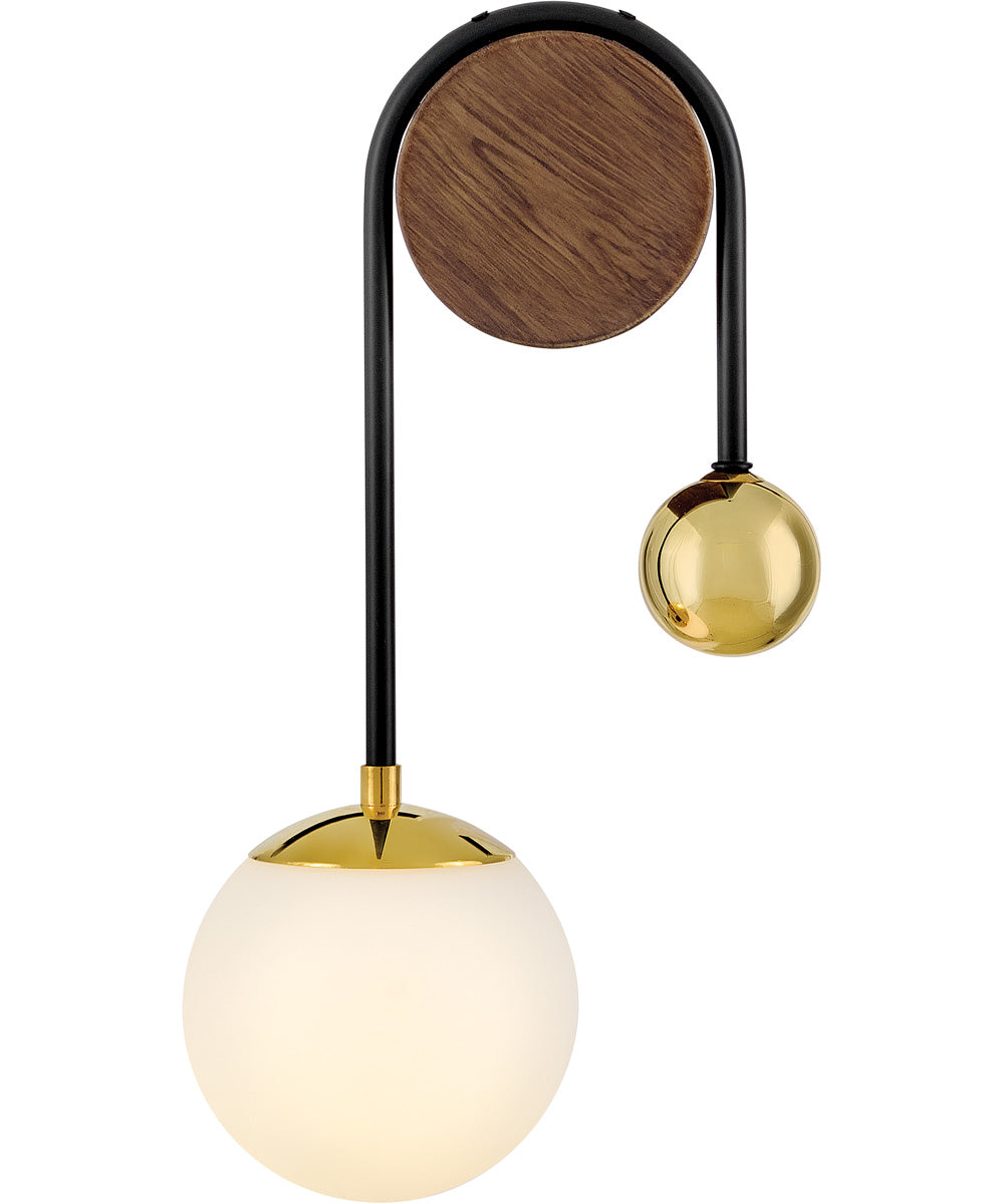 Auggie 1-Light Medium Single Light Sconce in Bright Brass