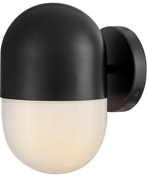 Bardi 1-Light Small Wall Mount Lantern in Black