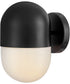 Bardi 1-Light Small Wall Mount Lantern in Black