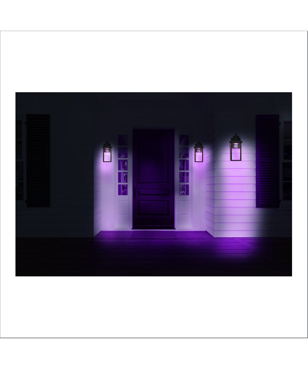 Austen 1-Light Outdoor Matte Black