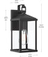 Cantley Medium Outdoor Wall Lantern with Clear Glass Panels Matte Black