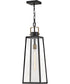 Hugh 1-Light Large Hanging Lantern in Black