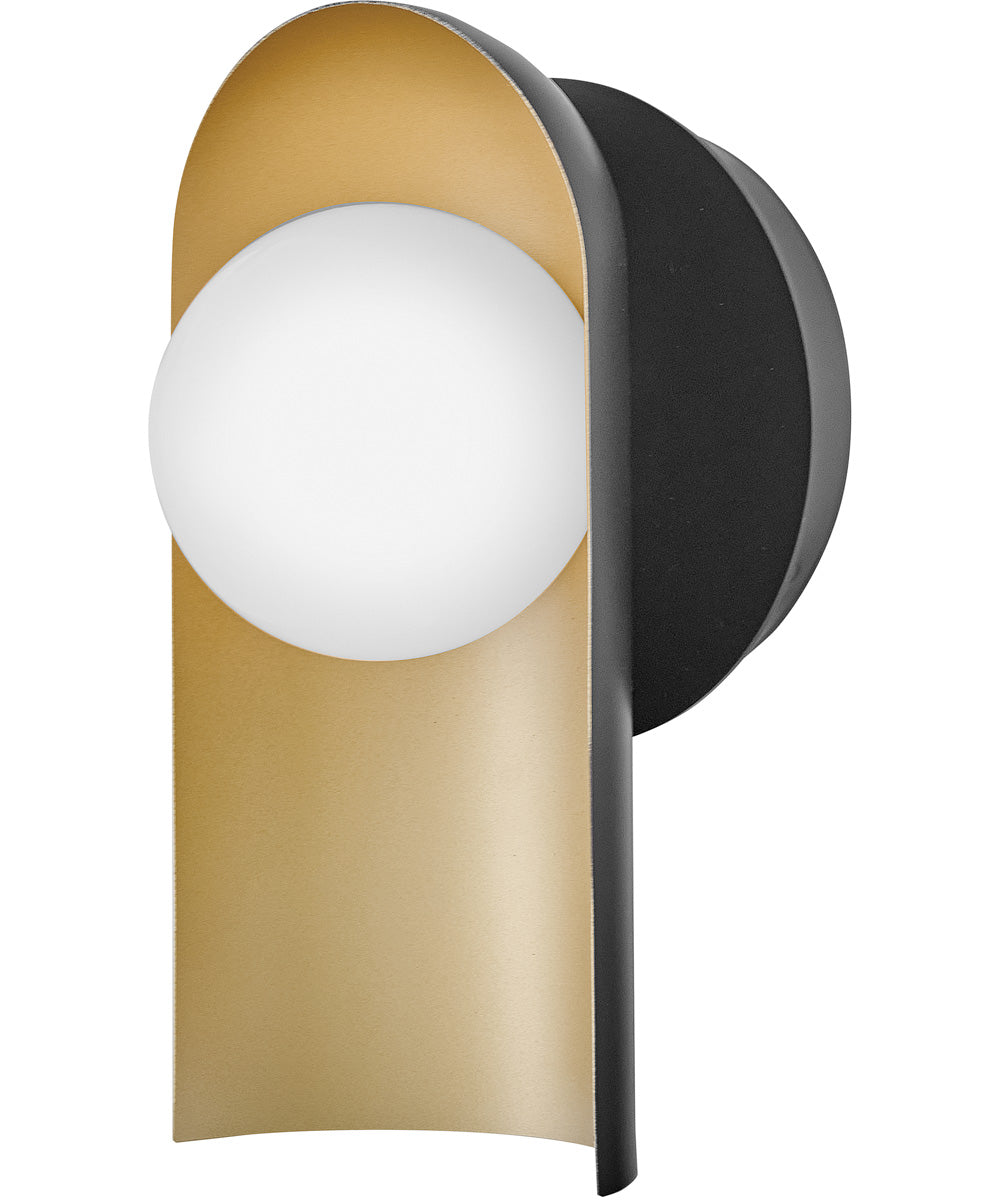 Zuri 1-Light Medium Single Light Sconce in Black