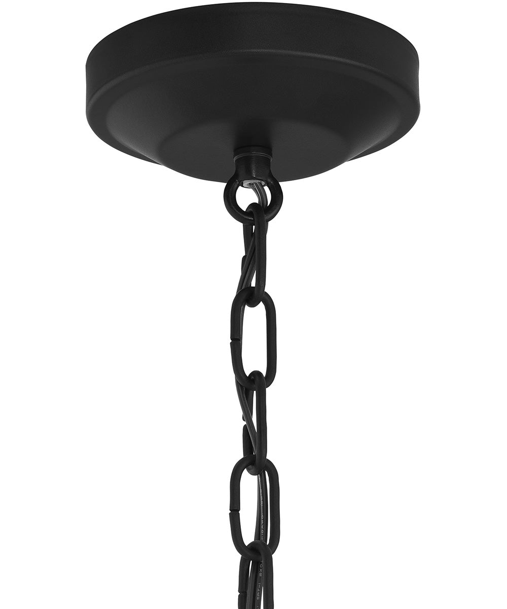 Lieon 2-Light Convertible Pendant Black