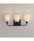 Hudson 3-Light Bath Vanity Black