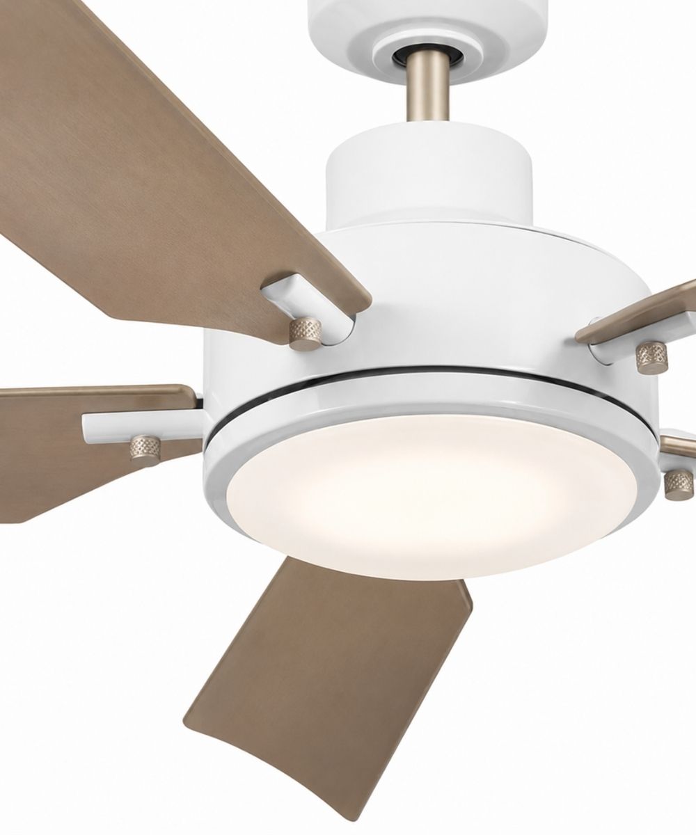 56" Guardian 5-Blade Ceiling Fan White Finish and Silver Blades with Integrated LED Light